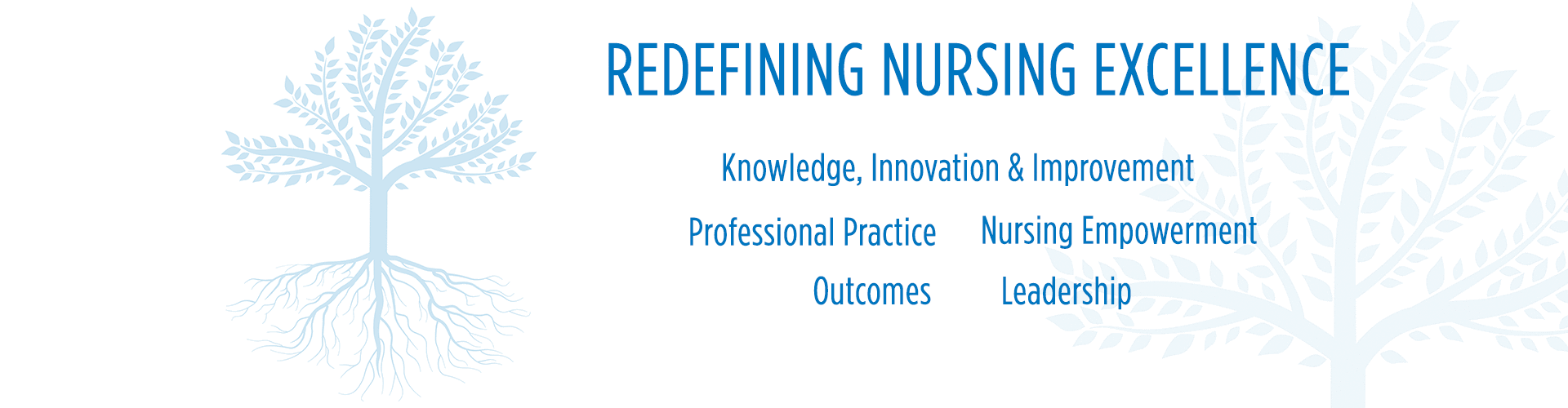 Banner graphic with text saying Redefining Nursing Excellence